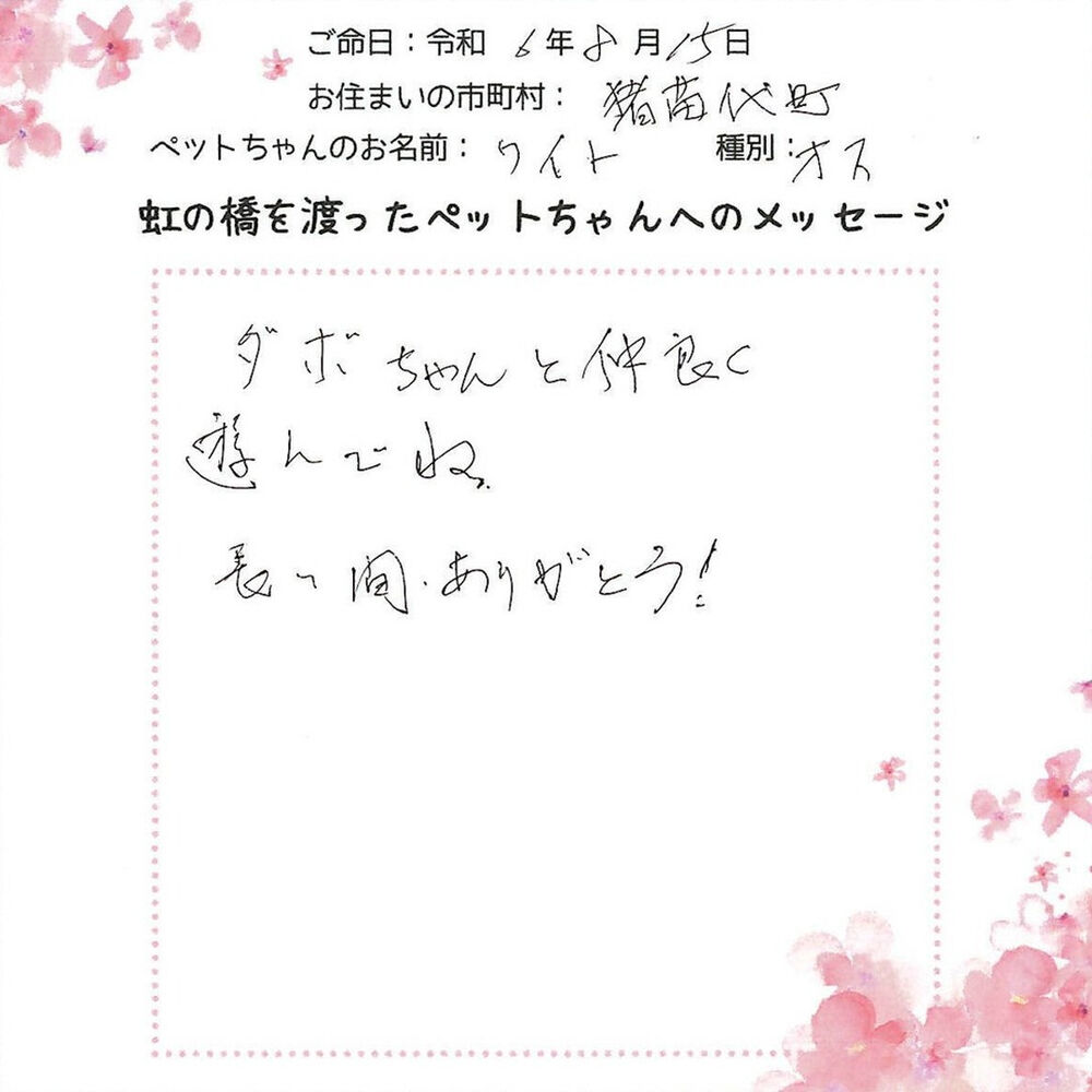 ブログ