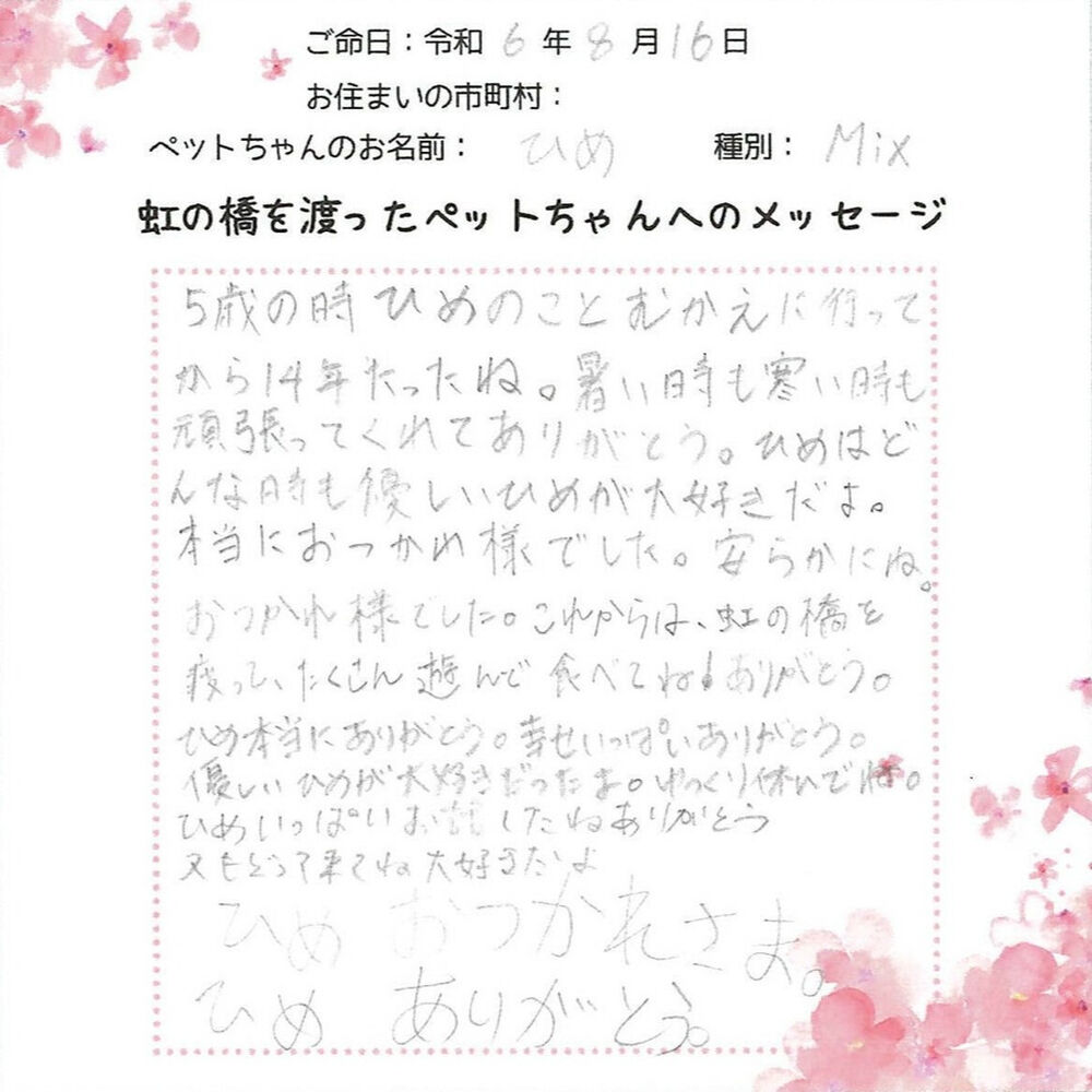 ブログ