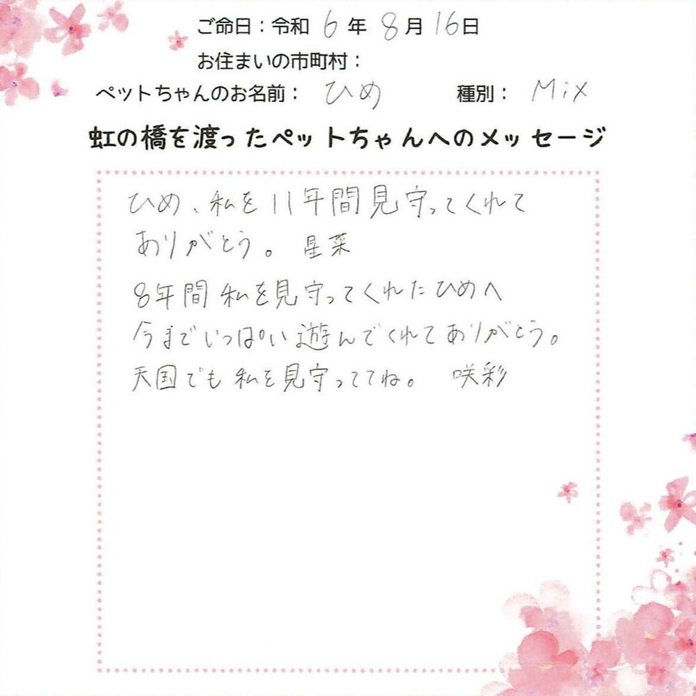 ブログ