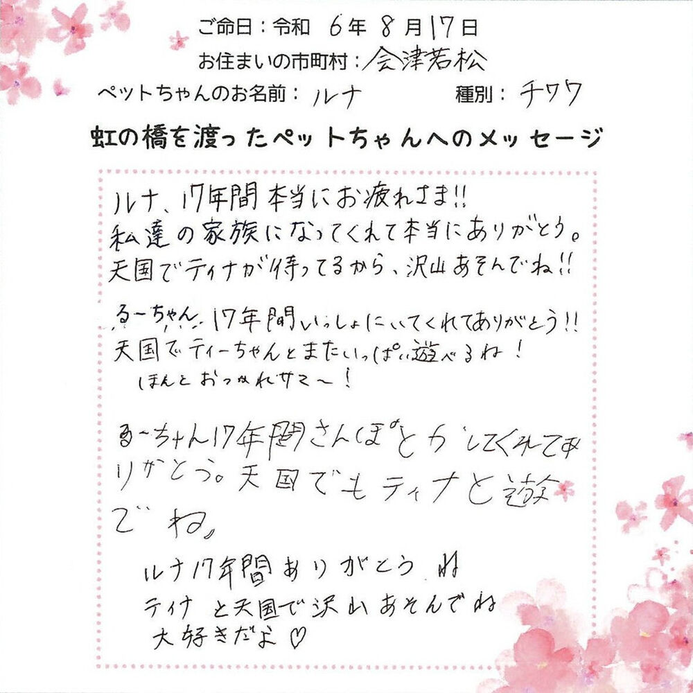 ブログ