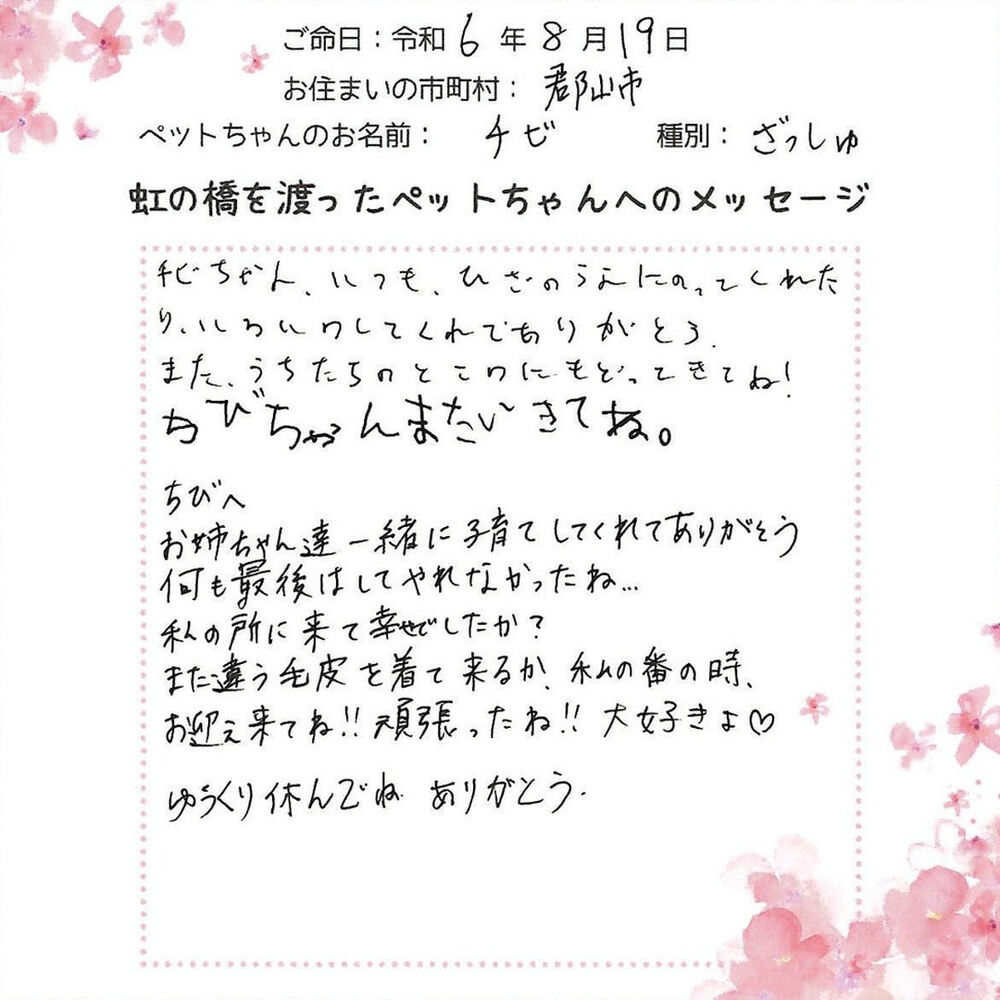 ブログ