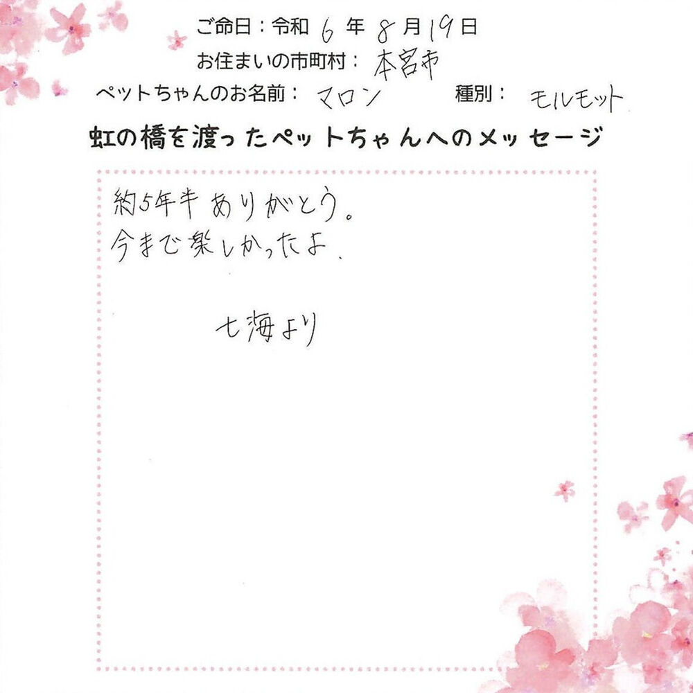 ブログ
