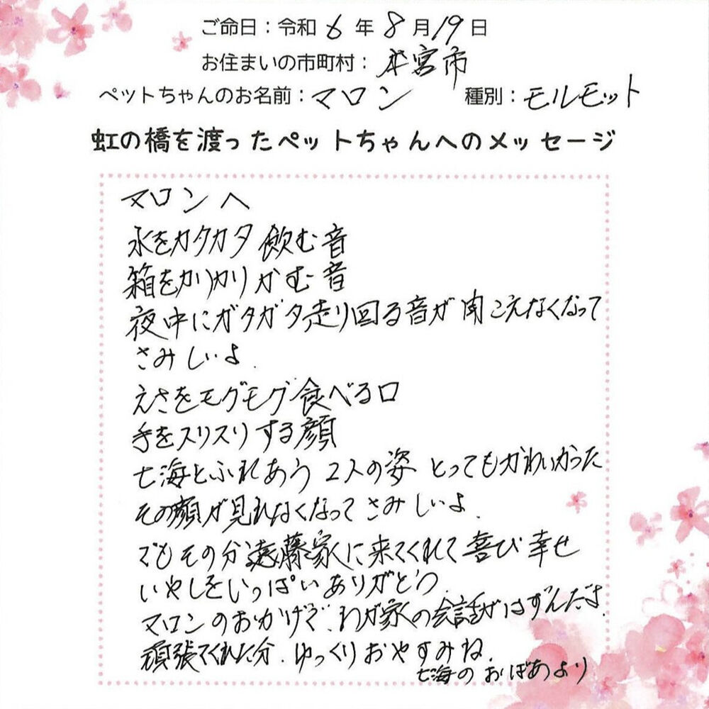 ブログ
