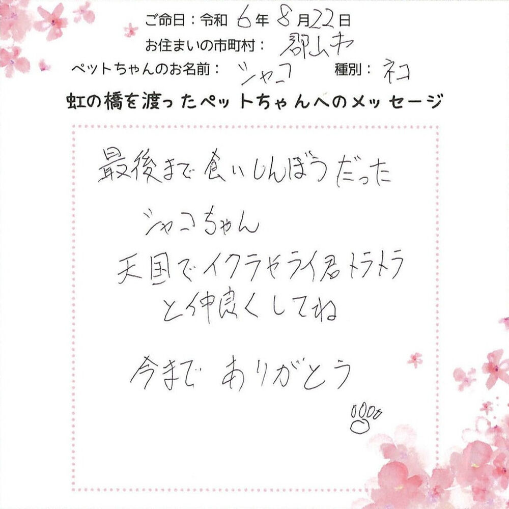 ブログ