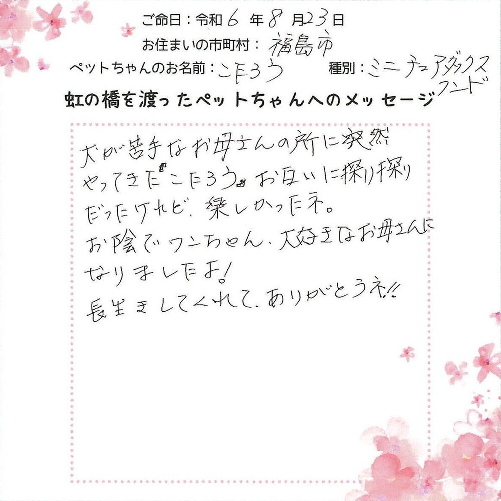 ブログ