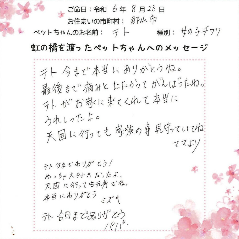 ブログ