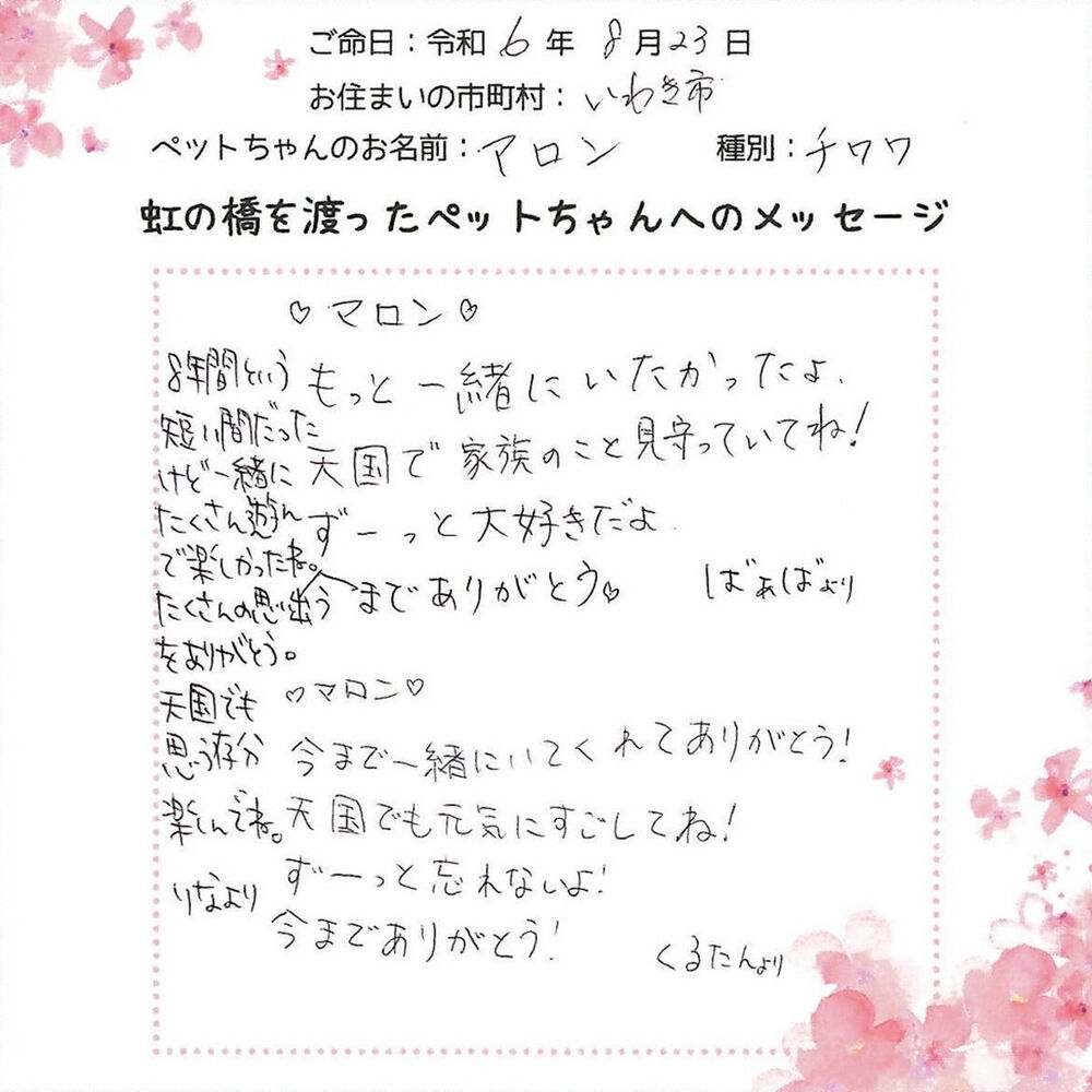 ブログ