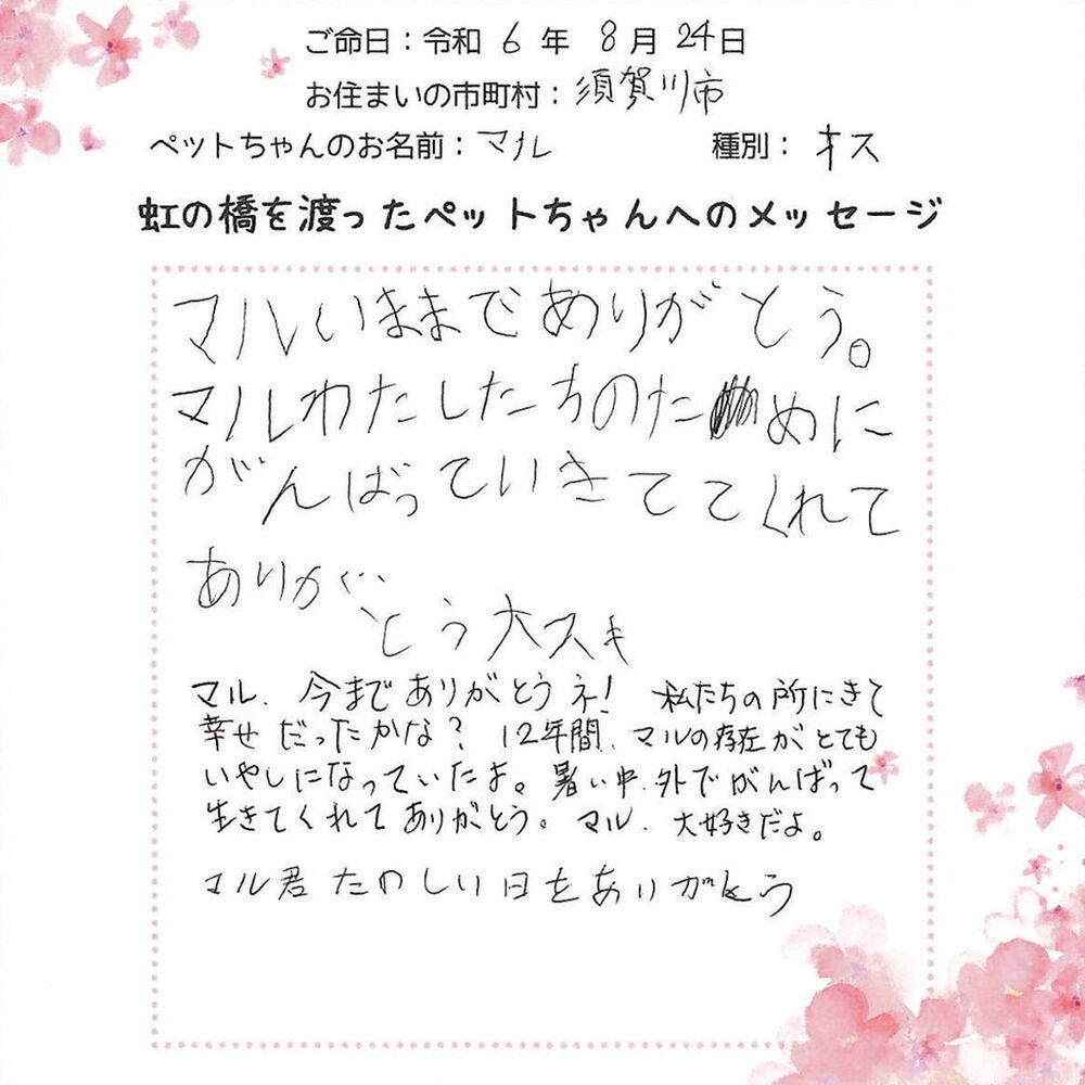 ブログ
