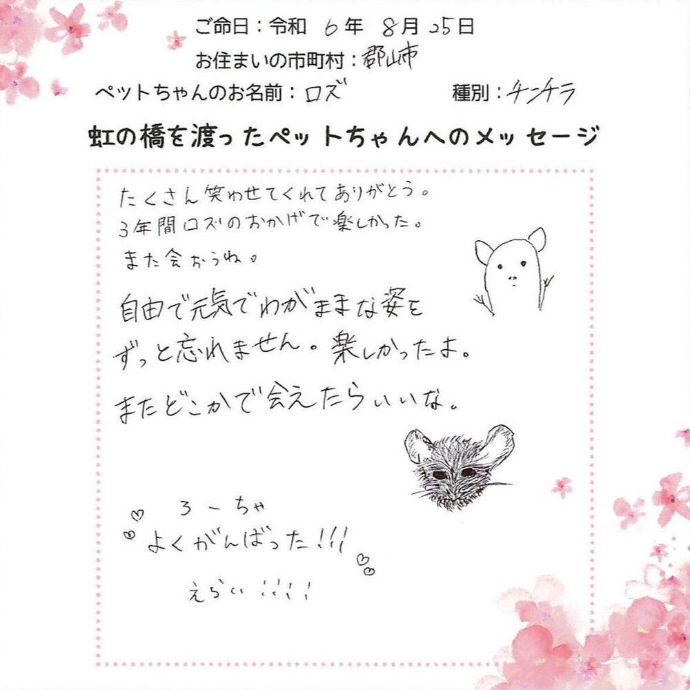 ブログ
