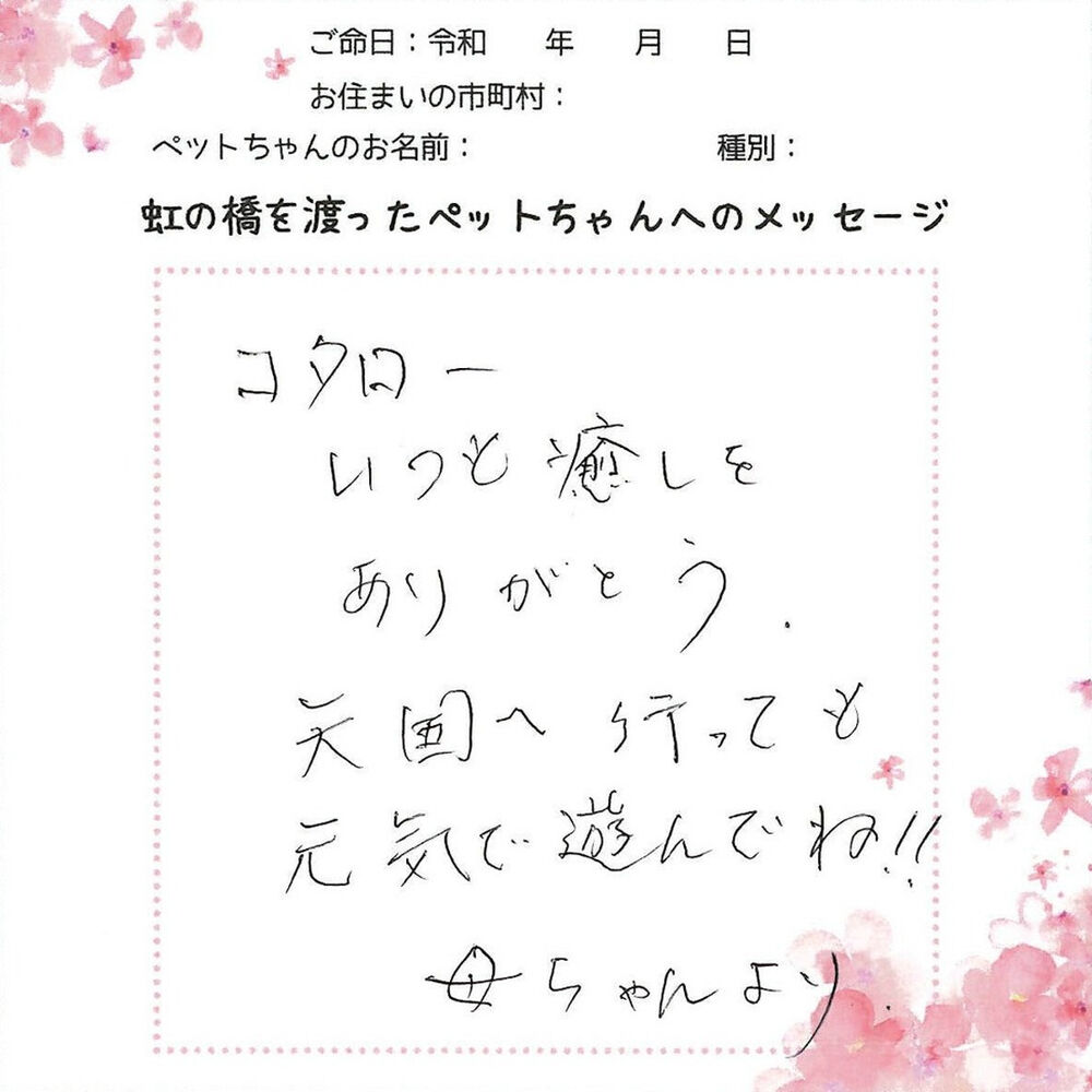 ブログ