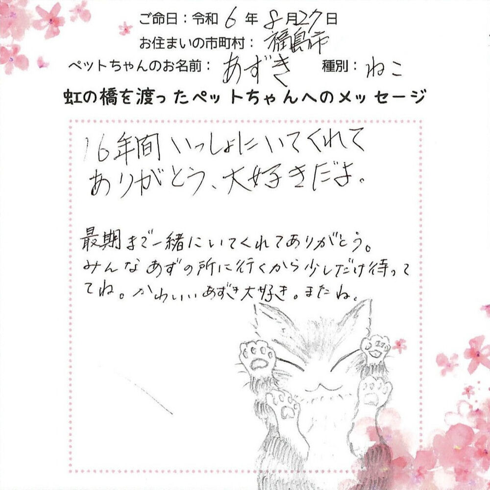 ブログ