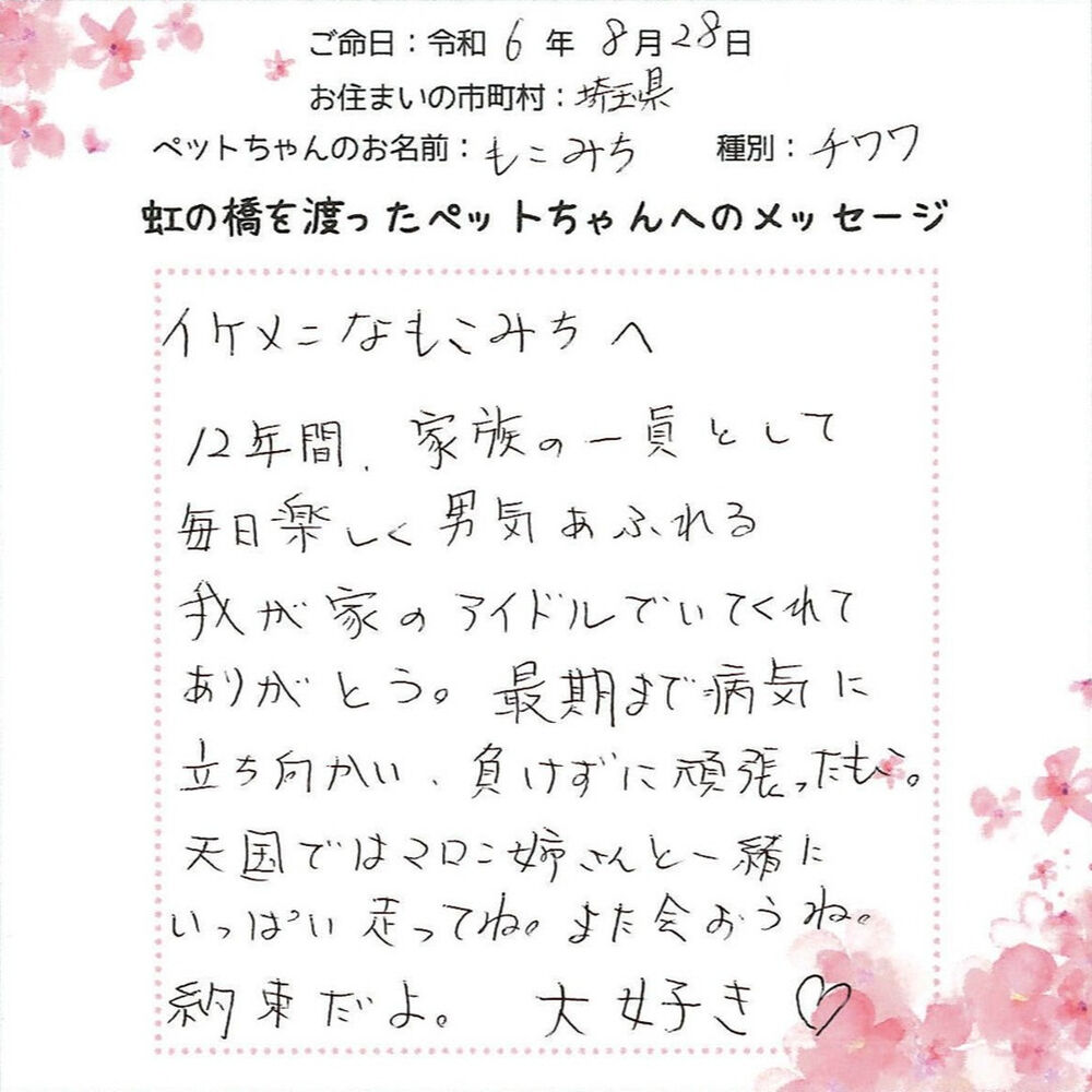 ブログ