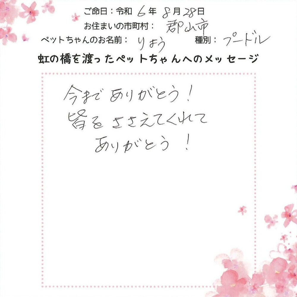 ブログ