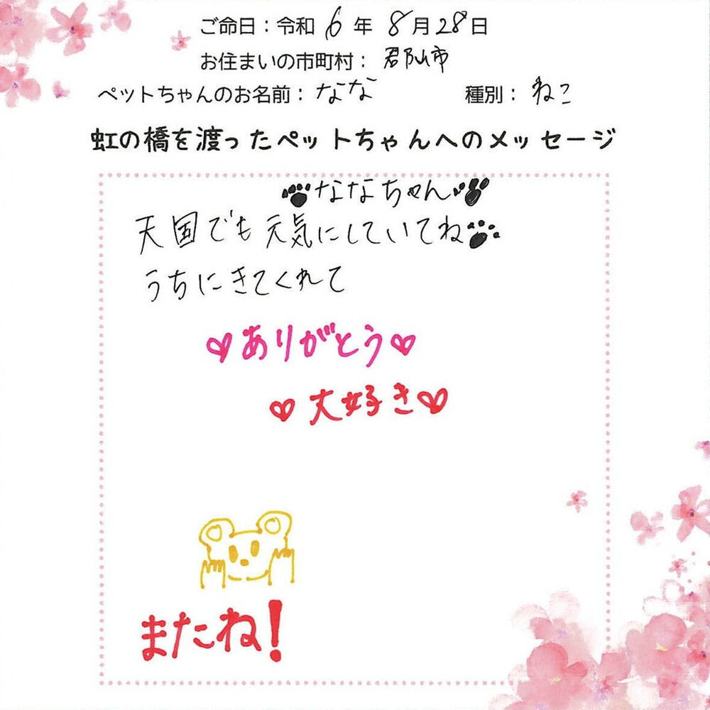 ブログ