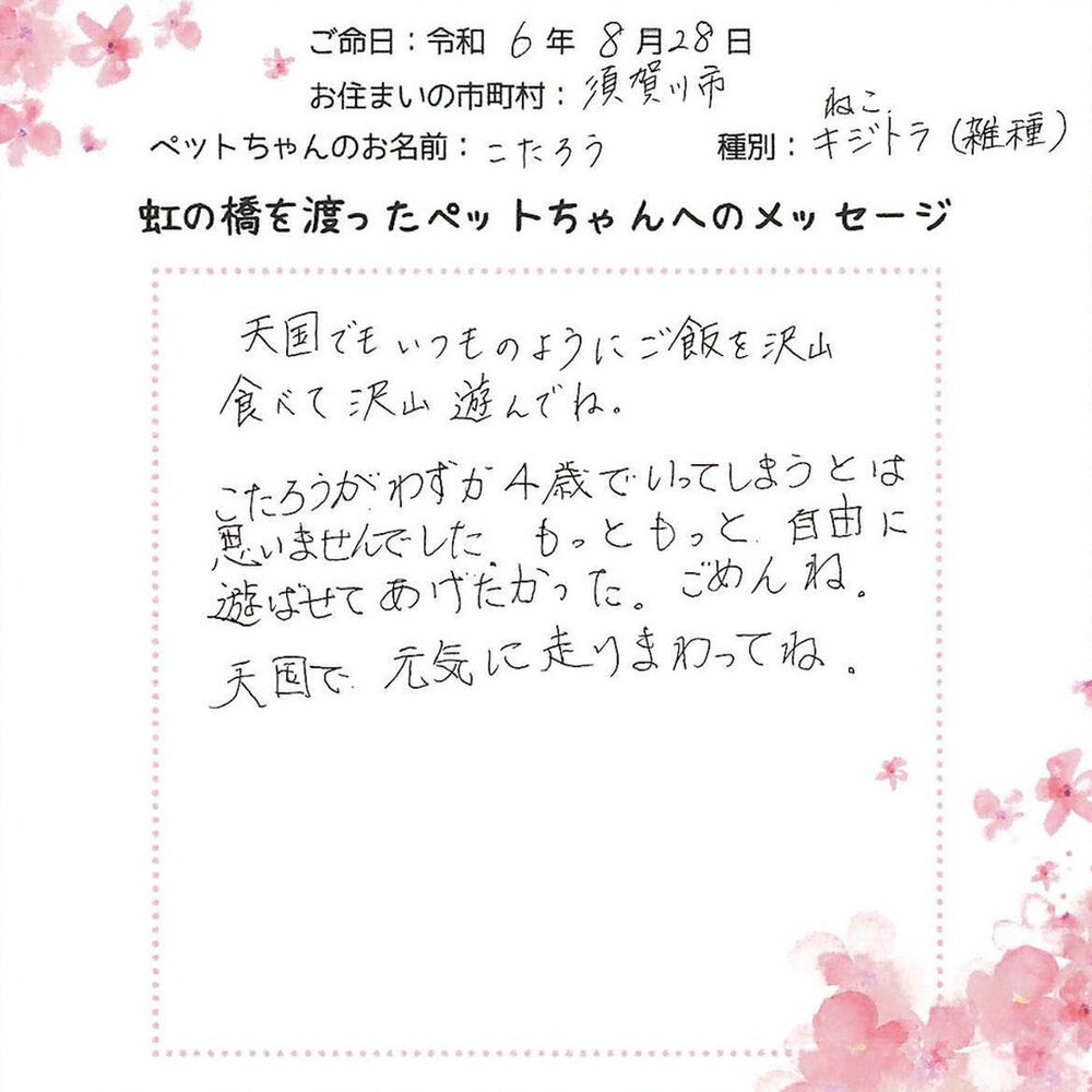 ブログ