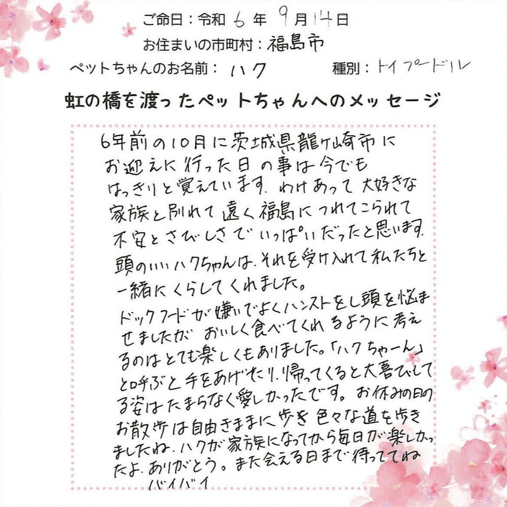 ブログ