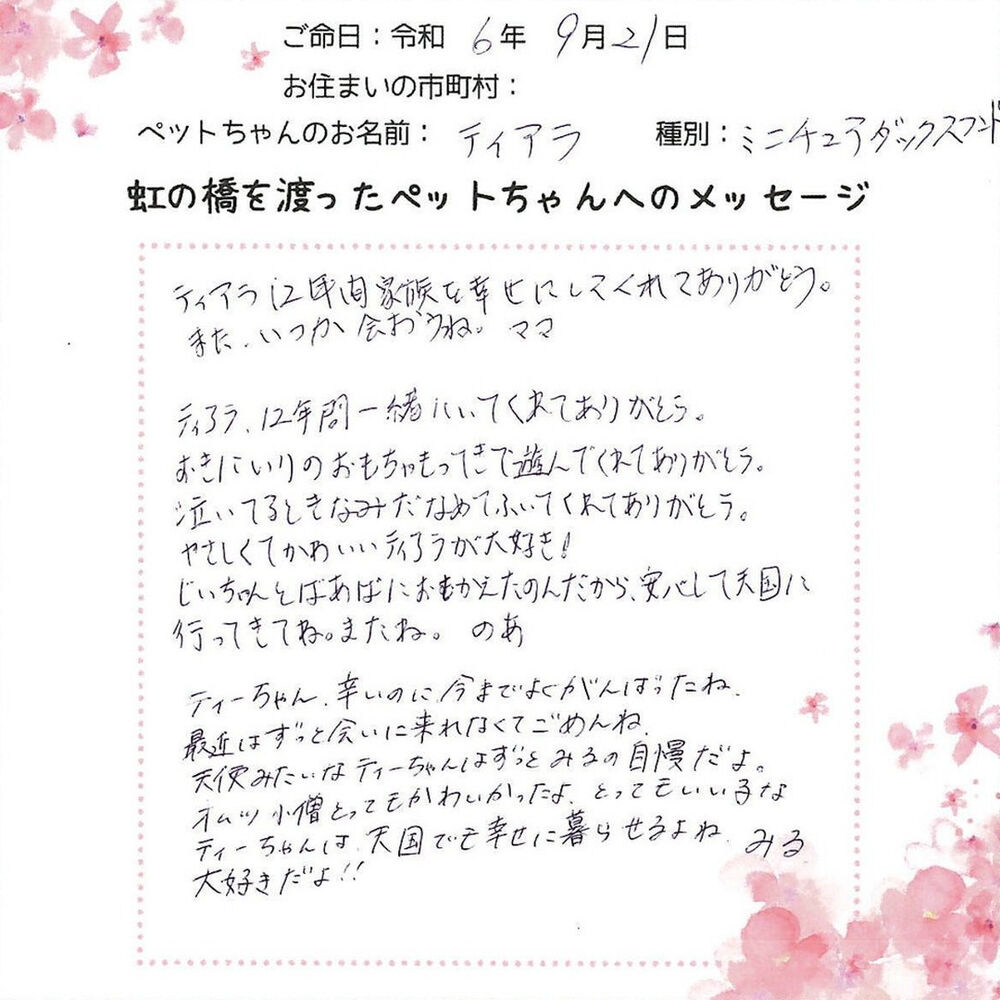 ブログ