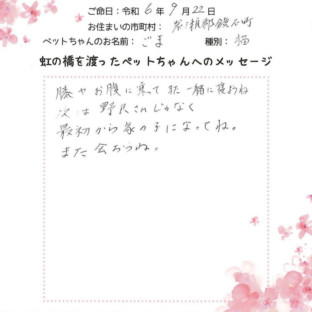 ブログ