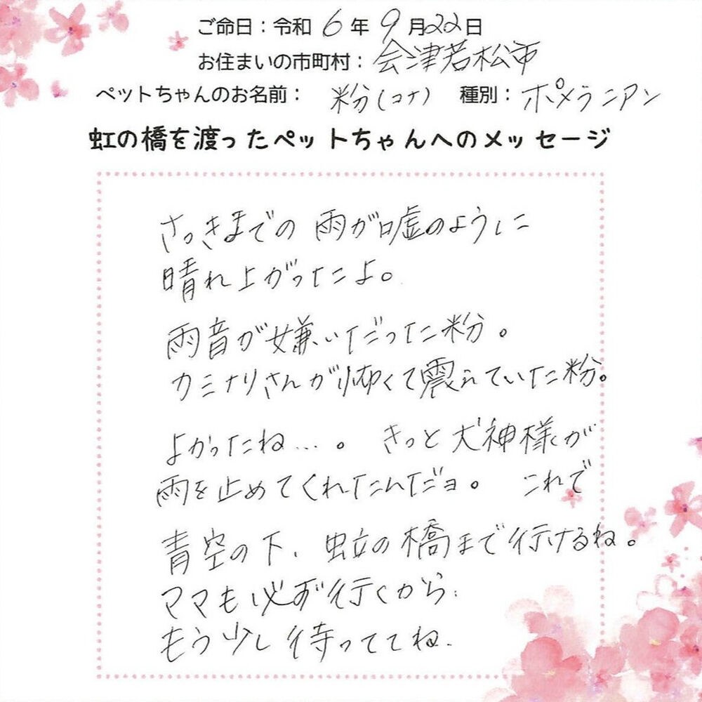 ブログ