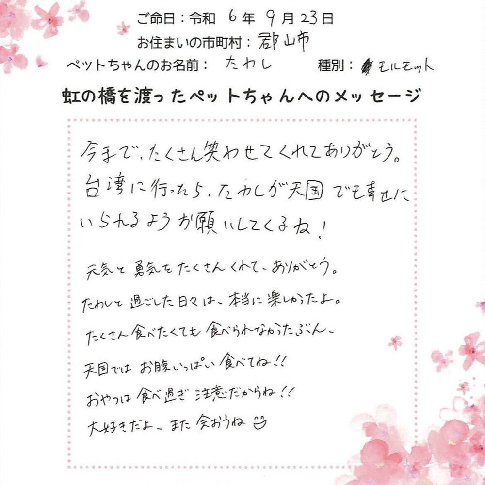ブログ