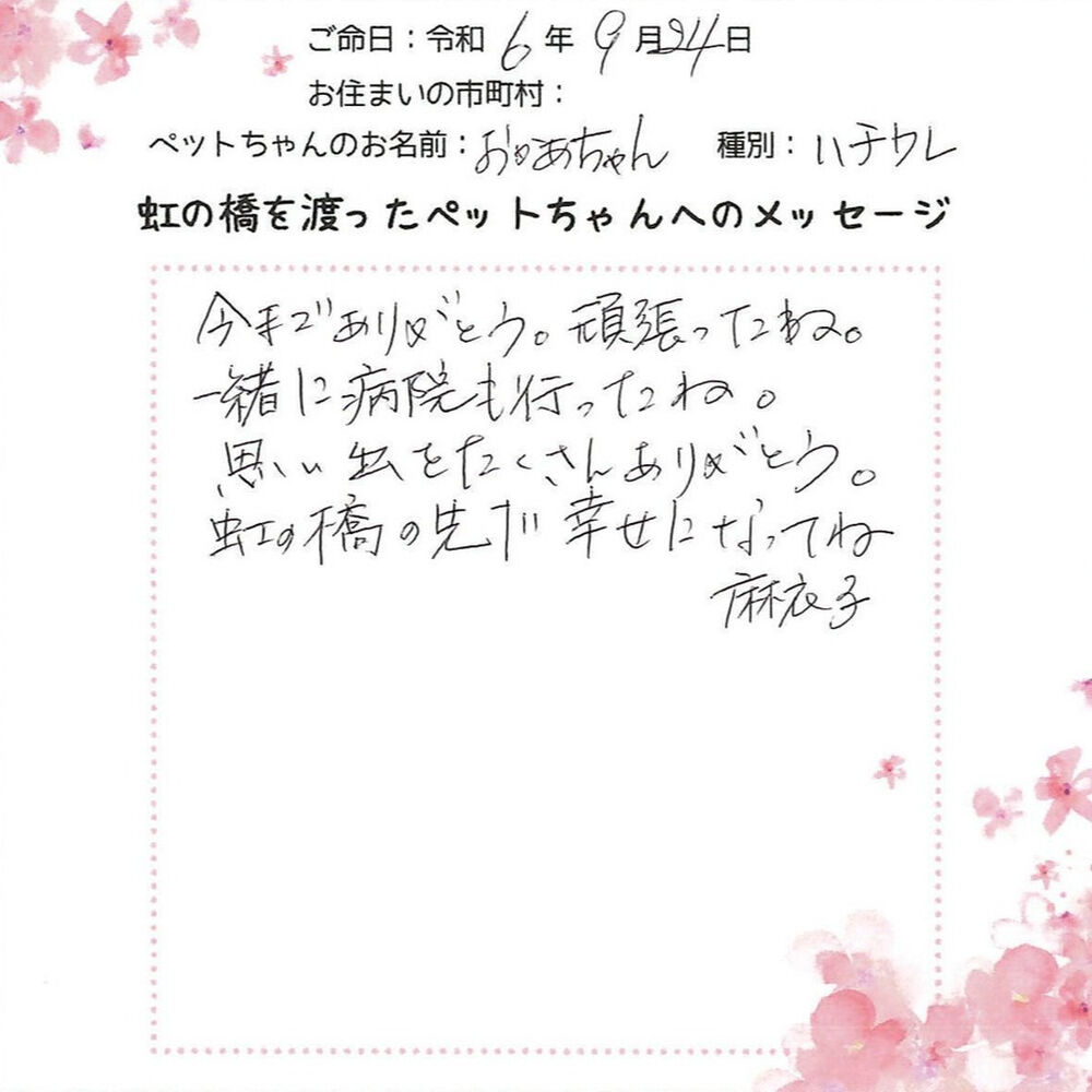 ブログ