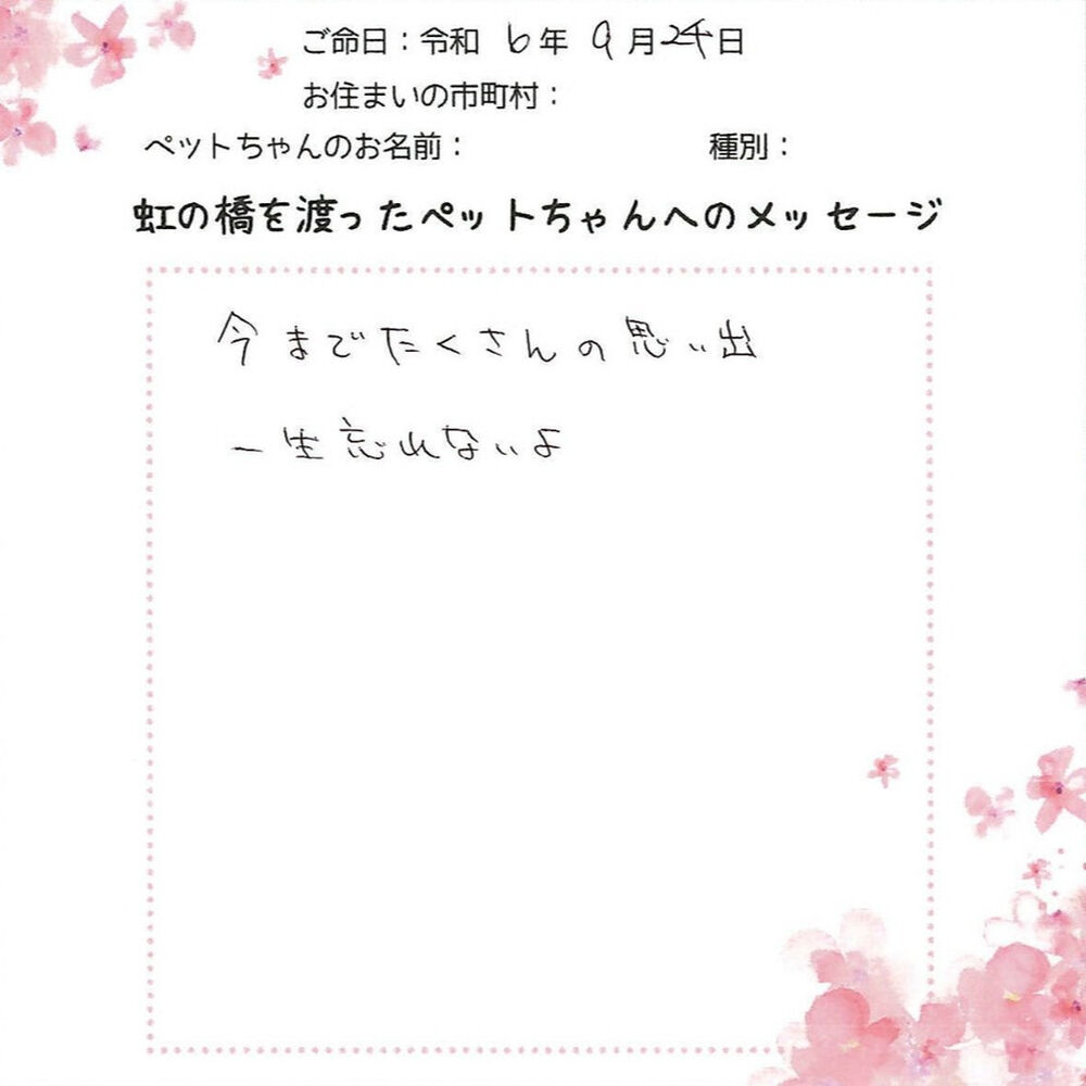 ブログ