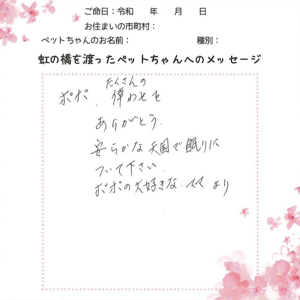 ブログ