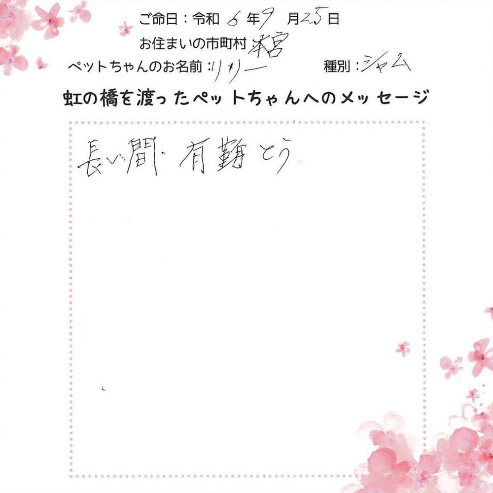 ブログ