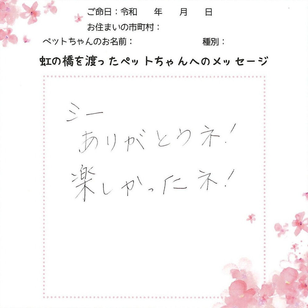 ブログ