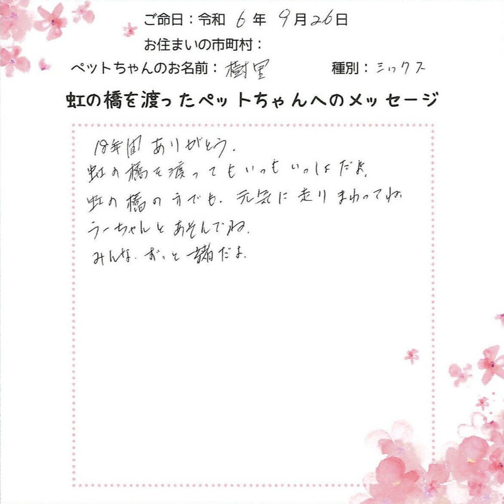 ブログ