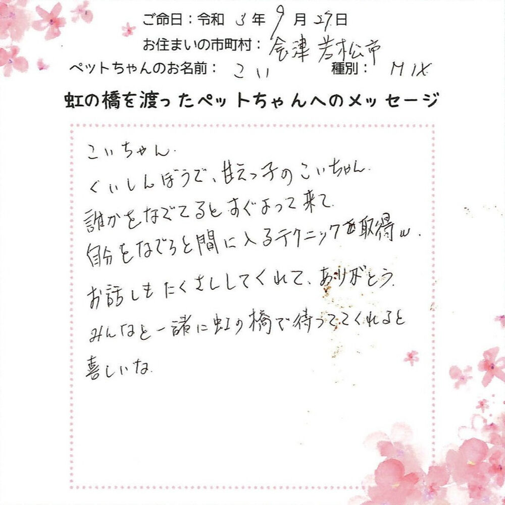 ブログ