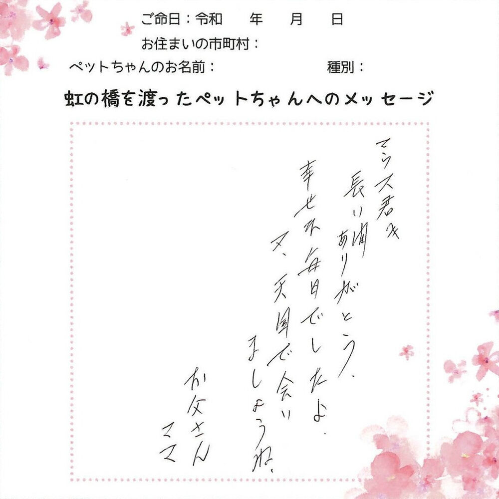 ブログ