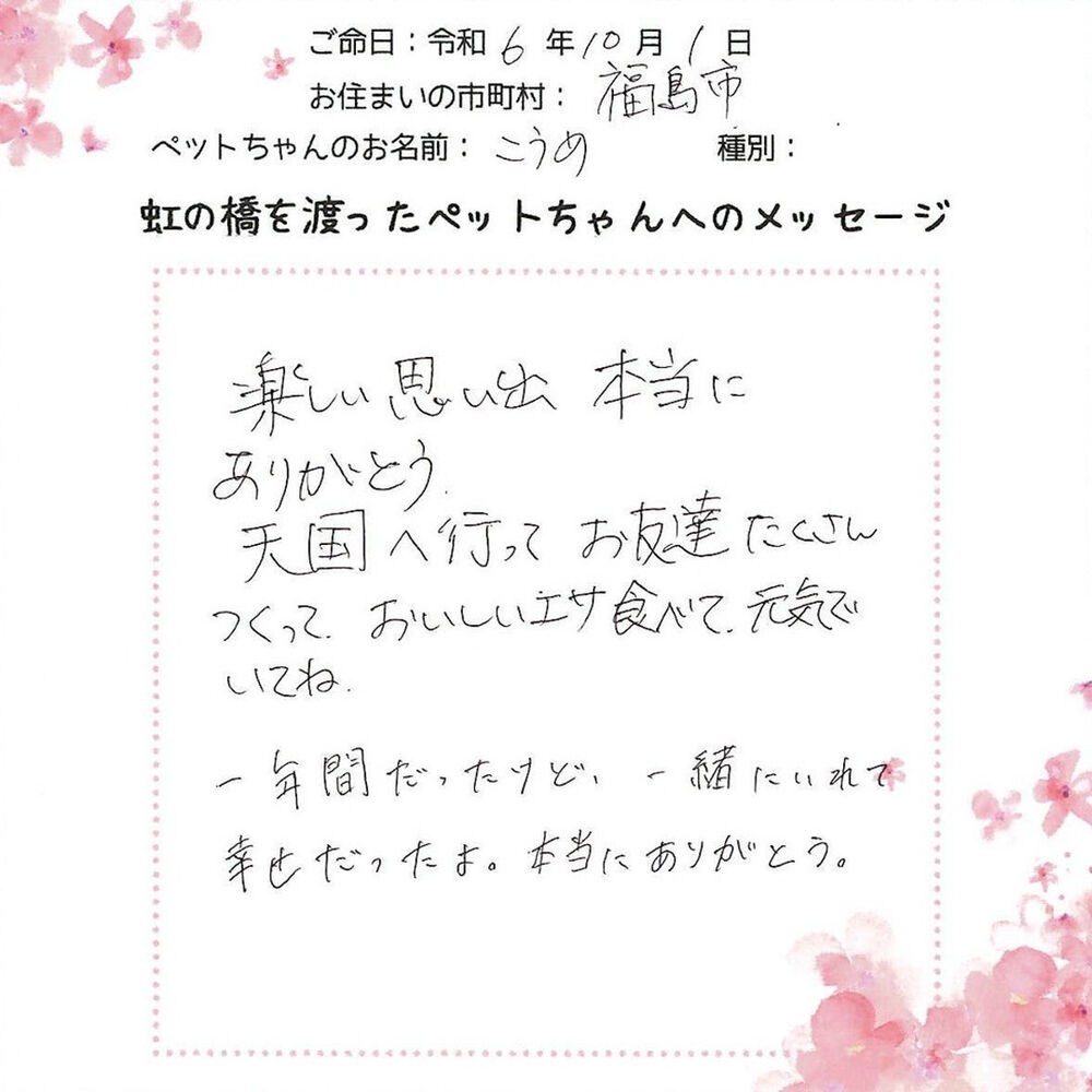 ブログ