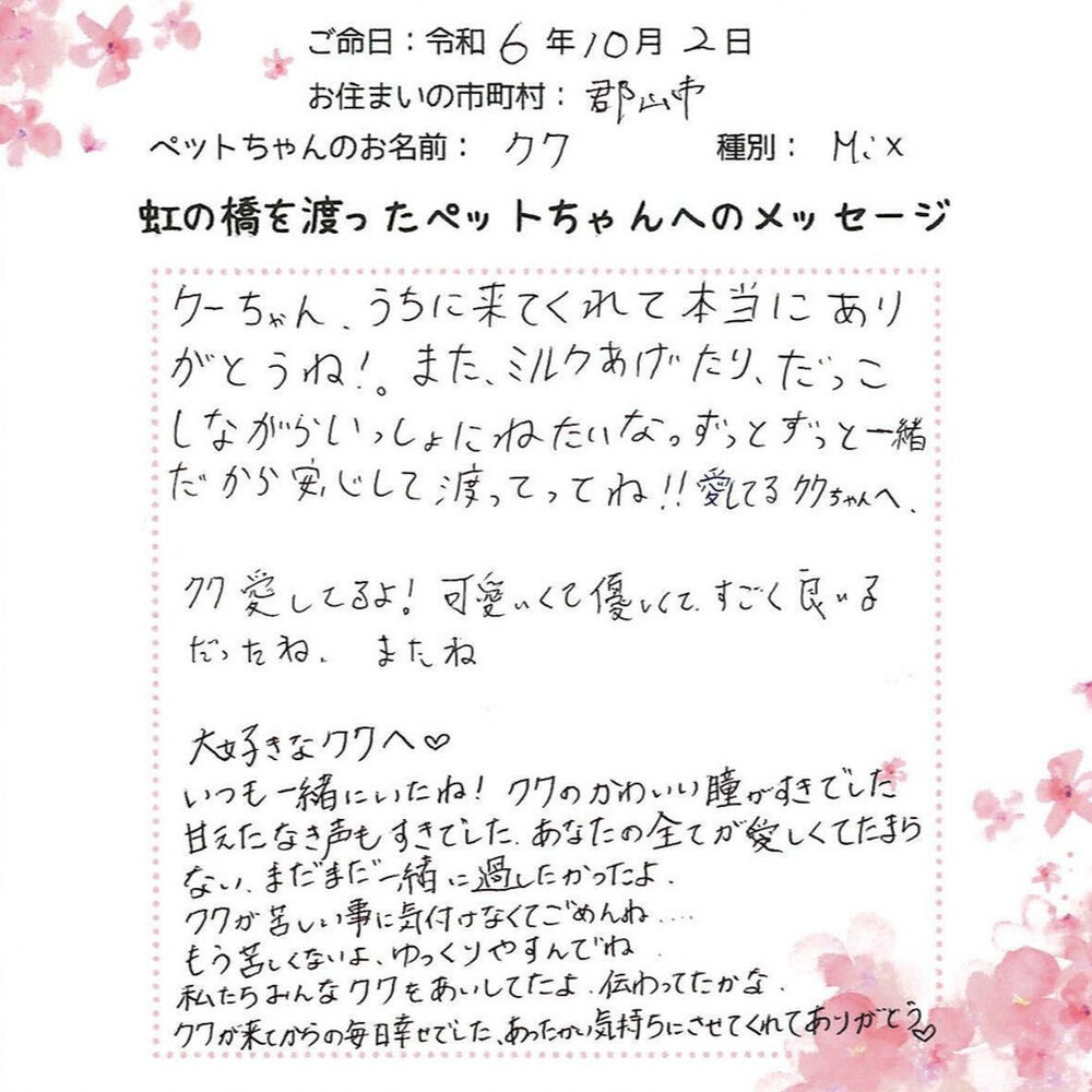 ブログ