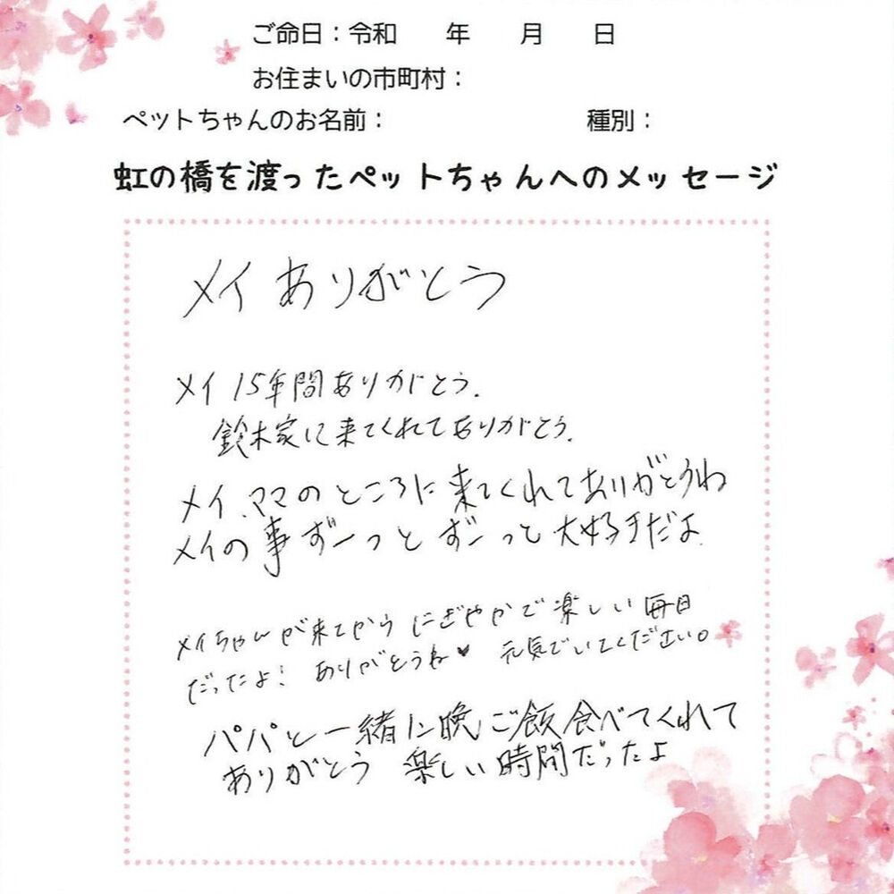 ブログ