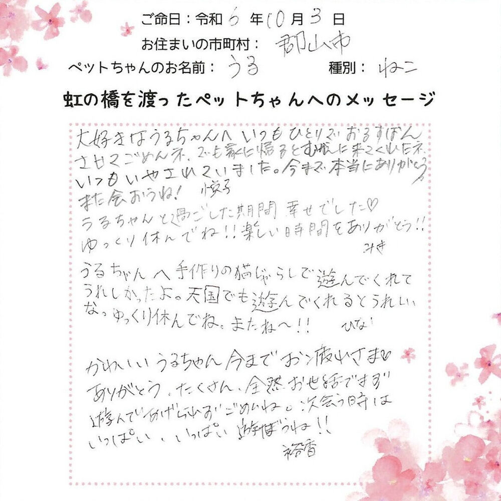 ブログ