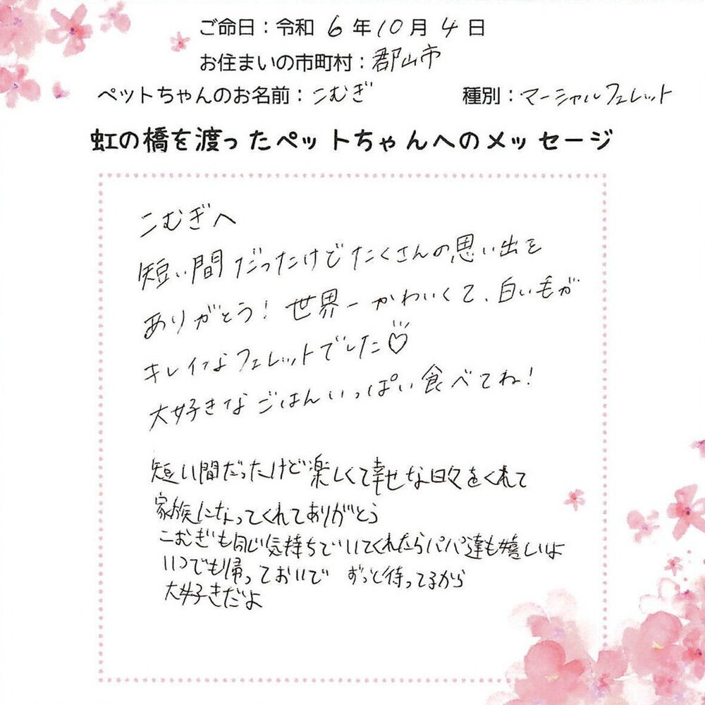 ブログ