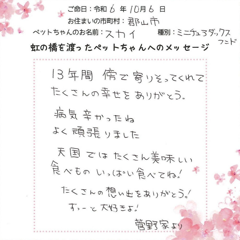 ブログ