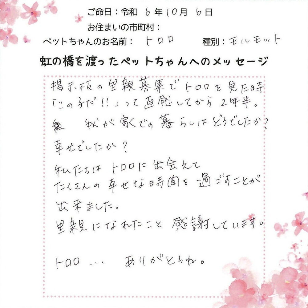 ブログ