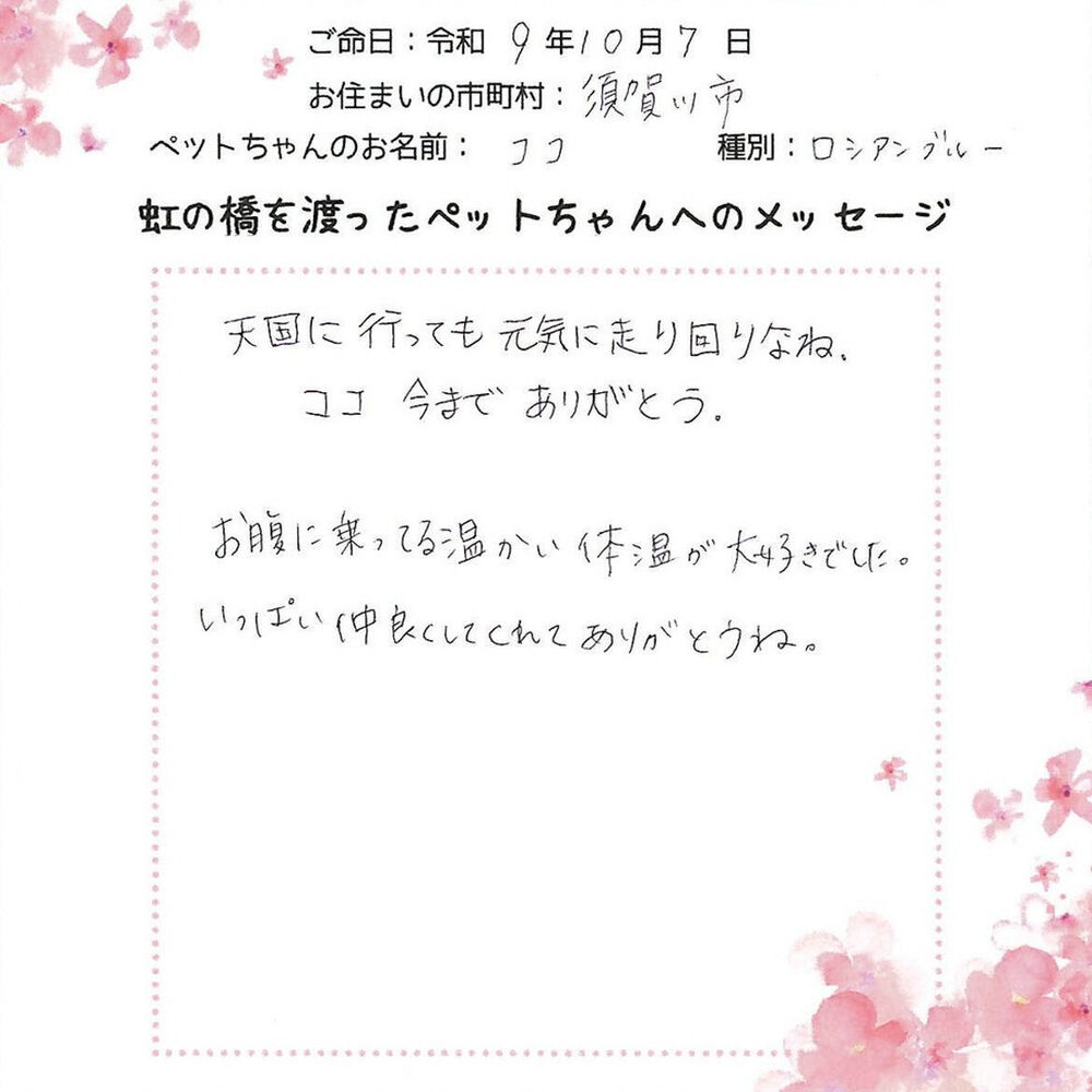 ブログ