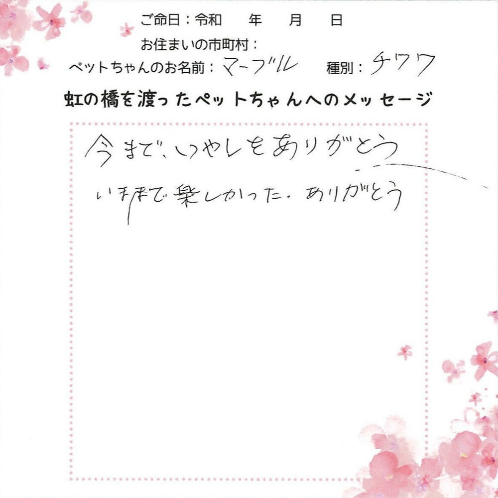 ブログ