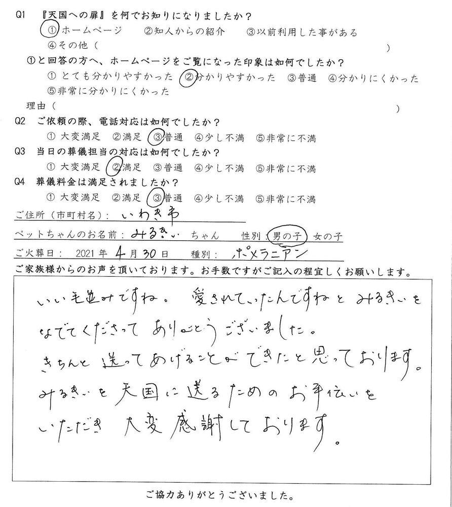 ブログ