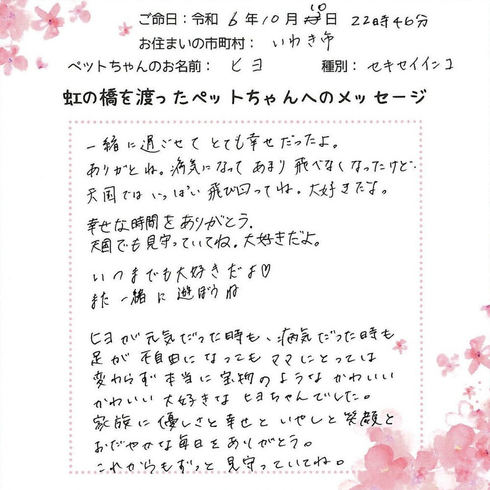 ブログ