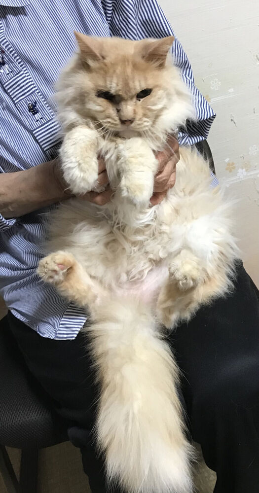 ブログ
