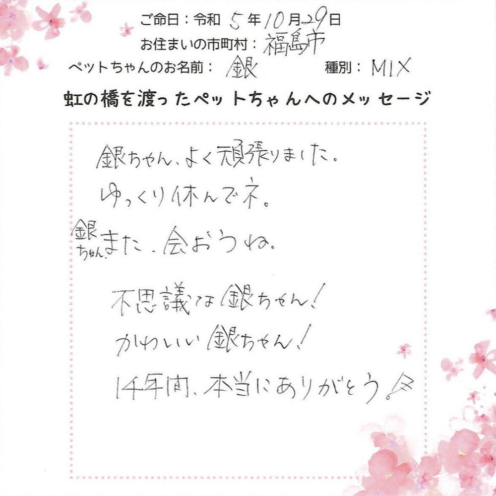 ブログ