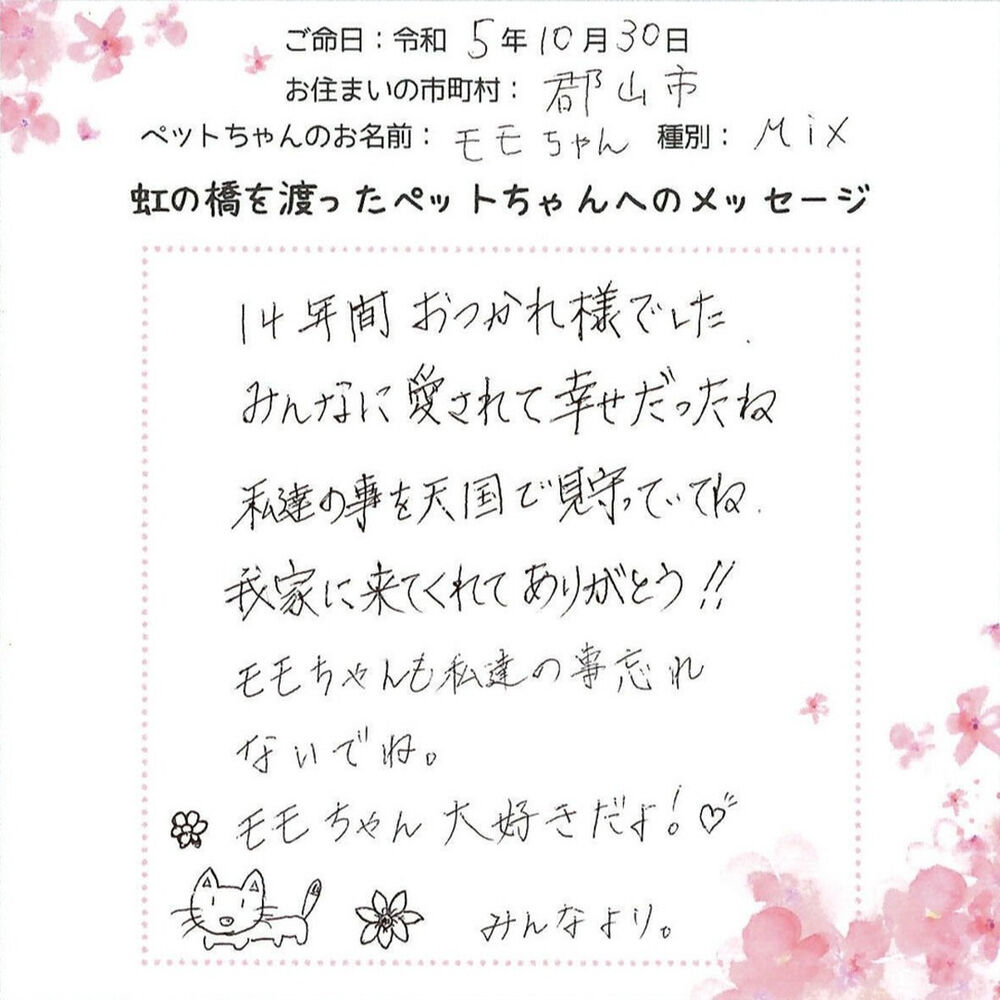 ブログ
