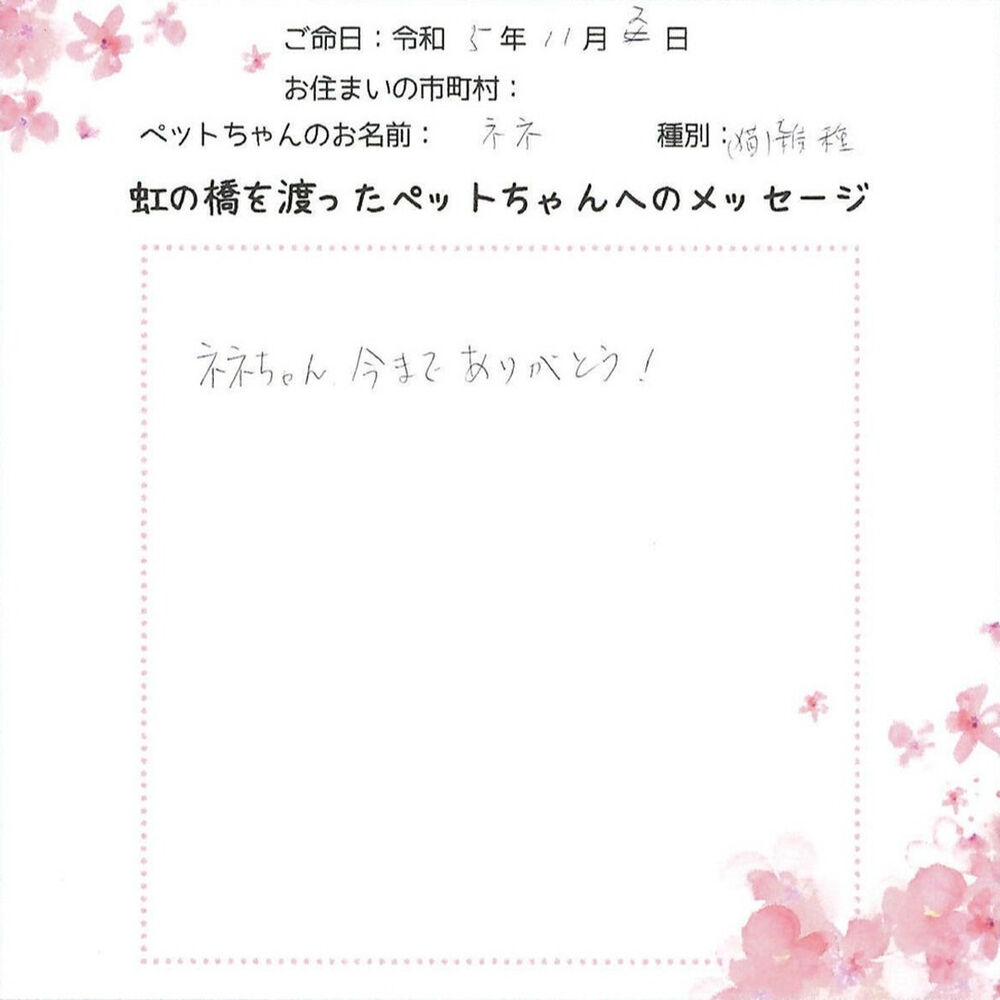 ブログ