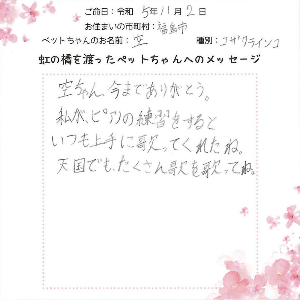 ブログ
