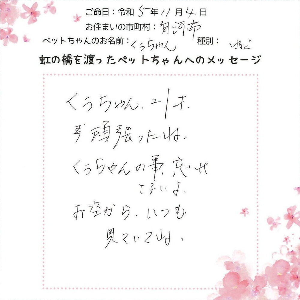 ブログ