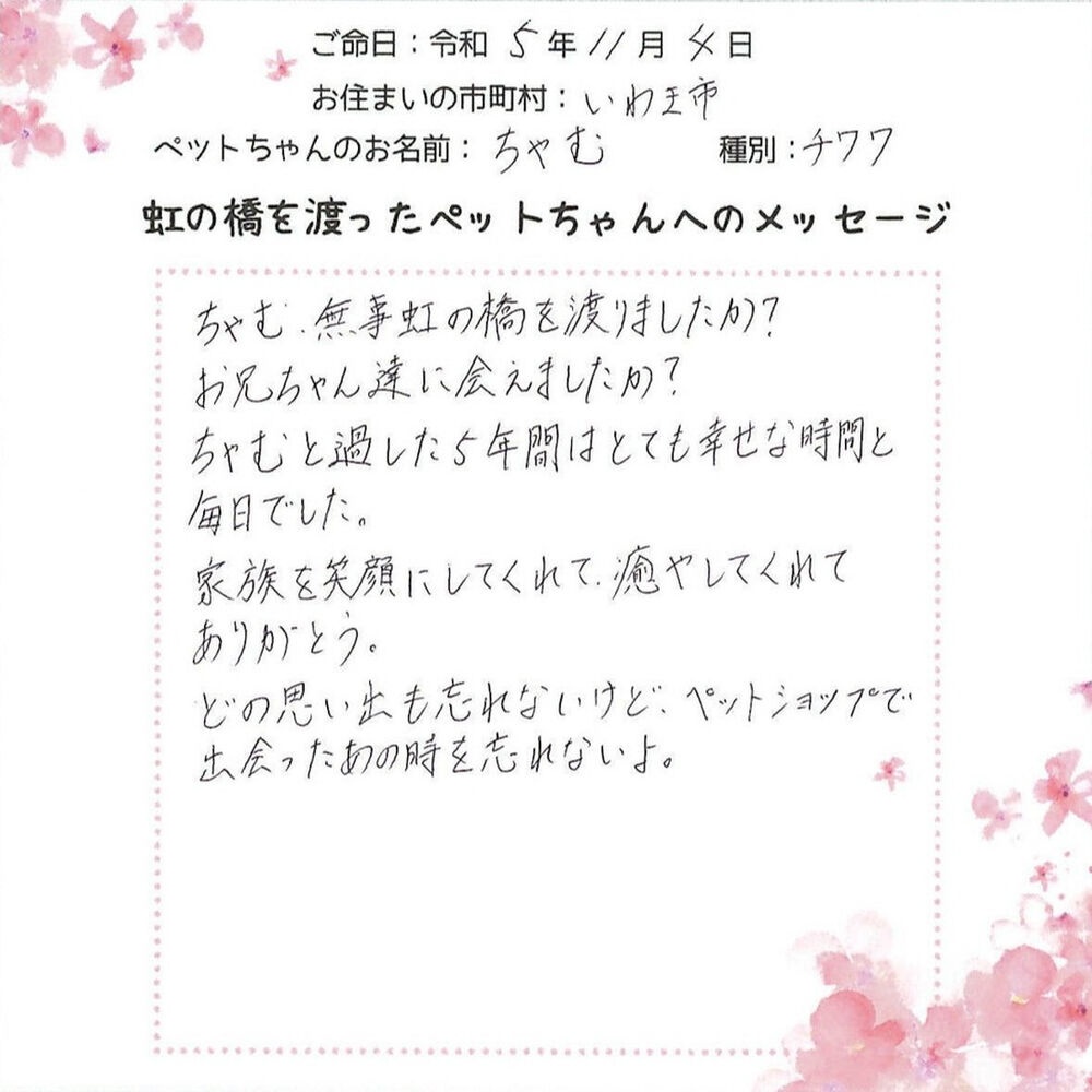 ブログ